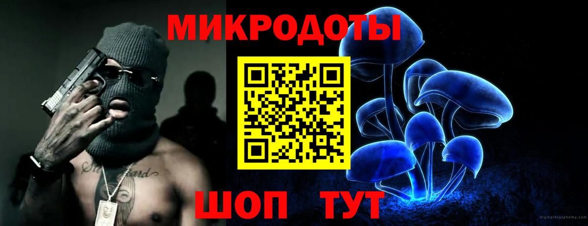 Псилоцибиновые грибы прущие грибы Пугачёв
